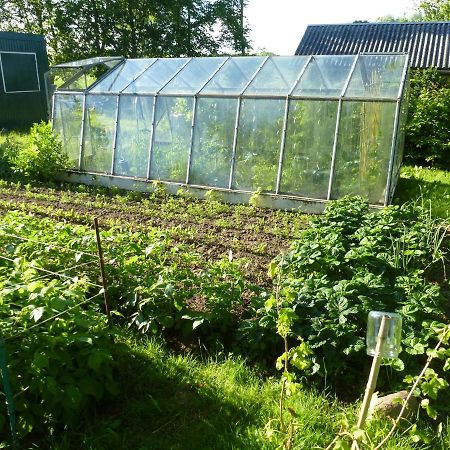 Traumhaftes Luxus-Ferienhaus Warnkenhagen  Luaran gambar