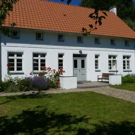 Traumhaftes Luxus-Ferienhaus Warnkenhagen  Luaran gambar