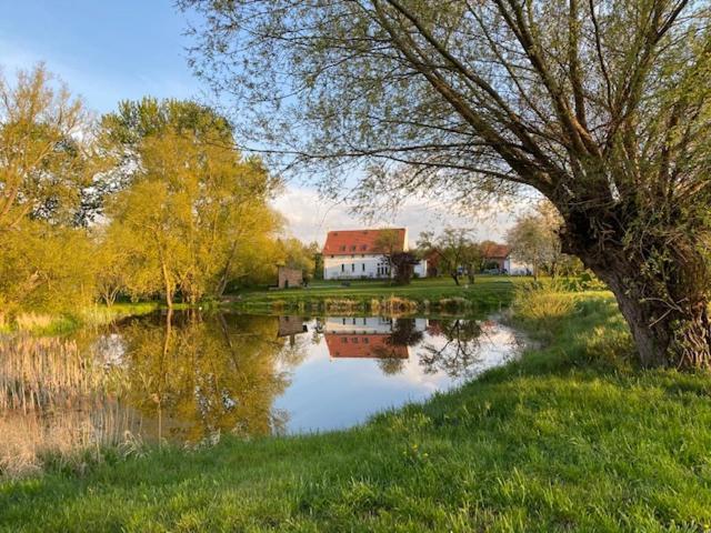 Traumhaftes Luxus-Ferienhaus Warnkenhagen  Luaran gambar