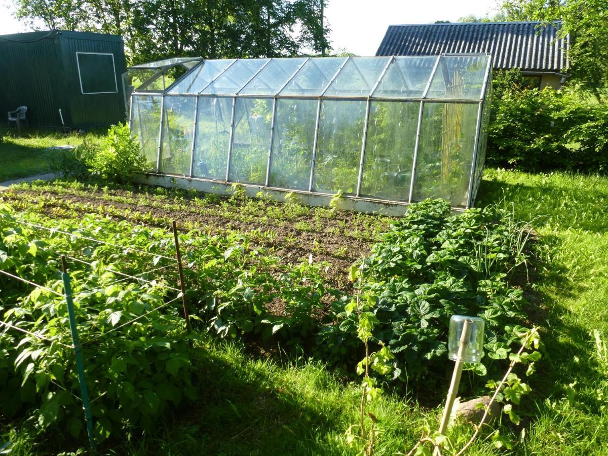 Traumhaftes Luxus-Ferienhaus Warnkenhagen  Luaran gambar